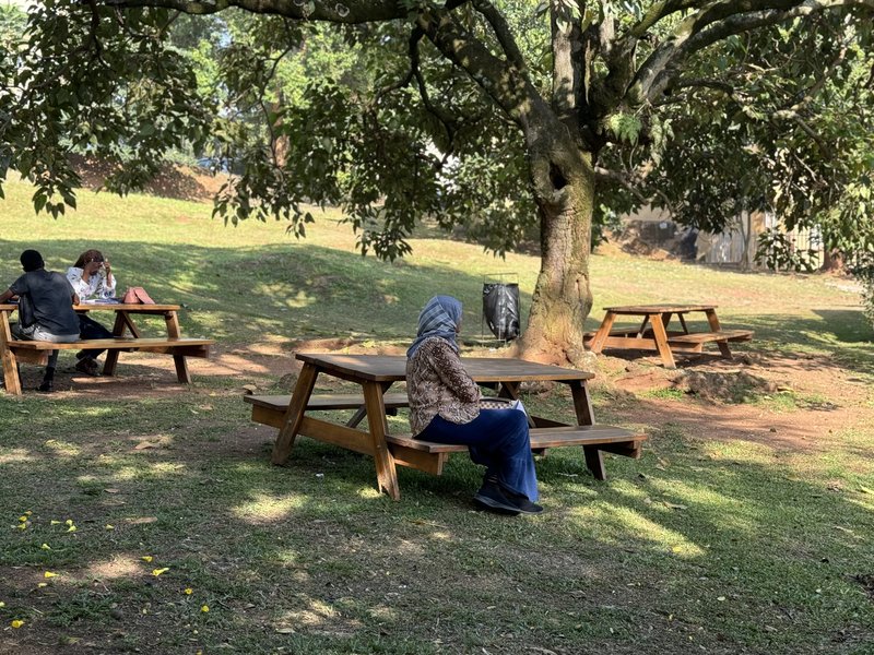 Visitors can sit in the shade at the leadership centre to read or discuss issues. Photo by Immaculate Bazira